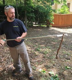 Wild Trappers - Wildlife Removal Woodstock | Kennesaw | Canton